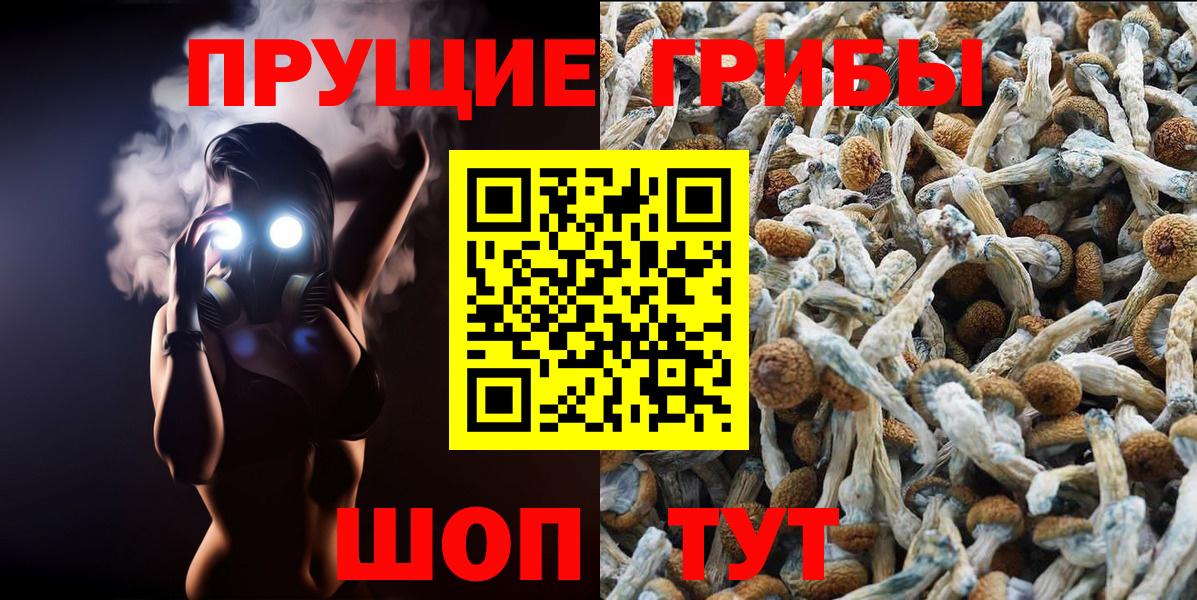 Псилоцибиновые грибы Cubensis Орёл